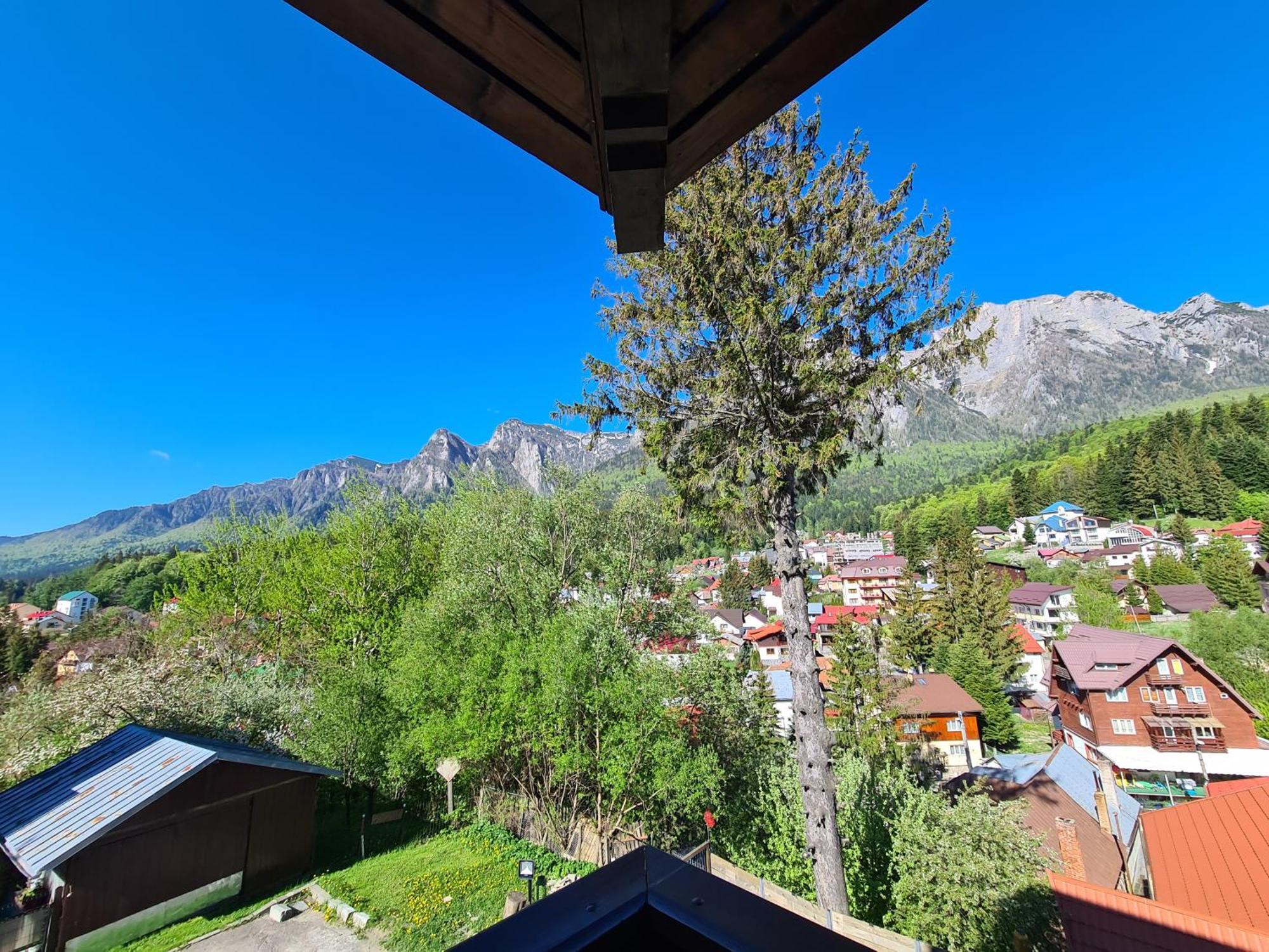 Casa Florescu Busteni Bagian luar foto