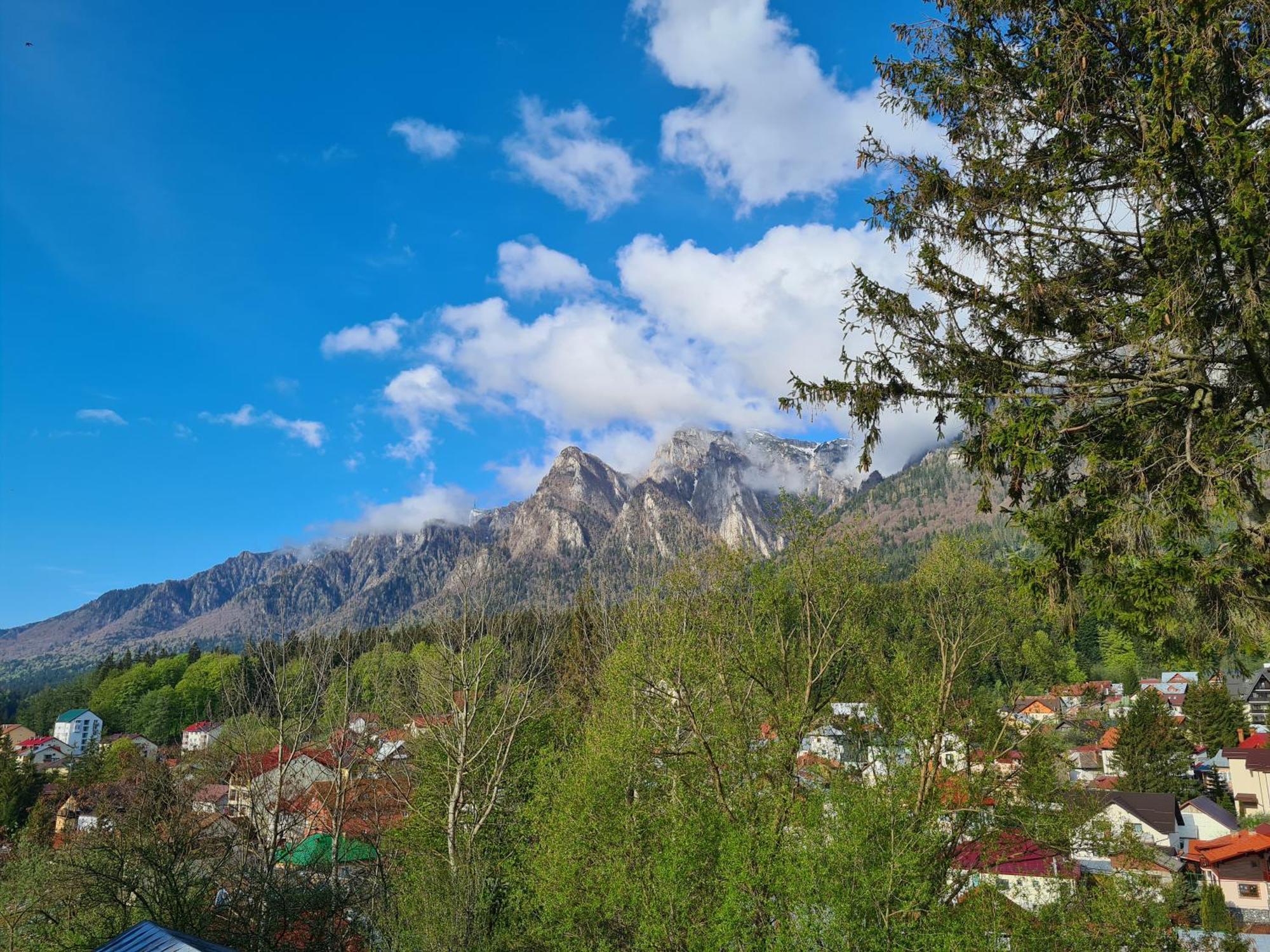 Casa Florescu Busteni Bagian luar foto