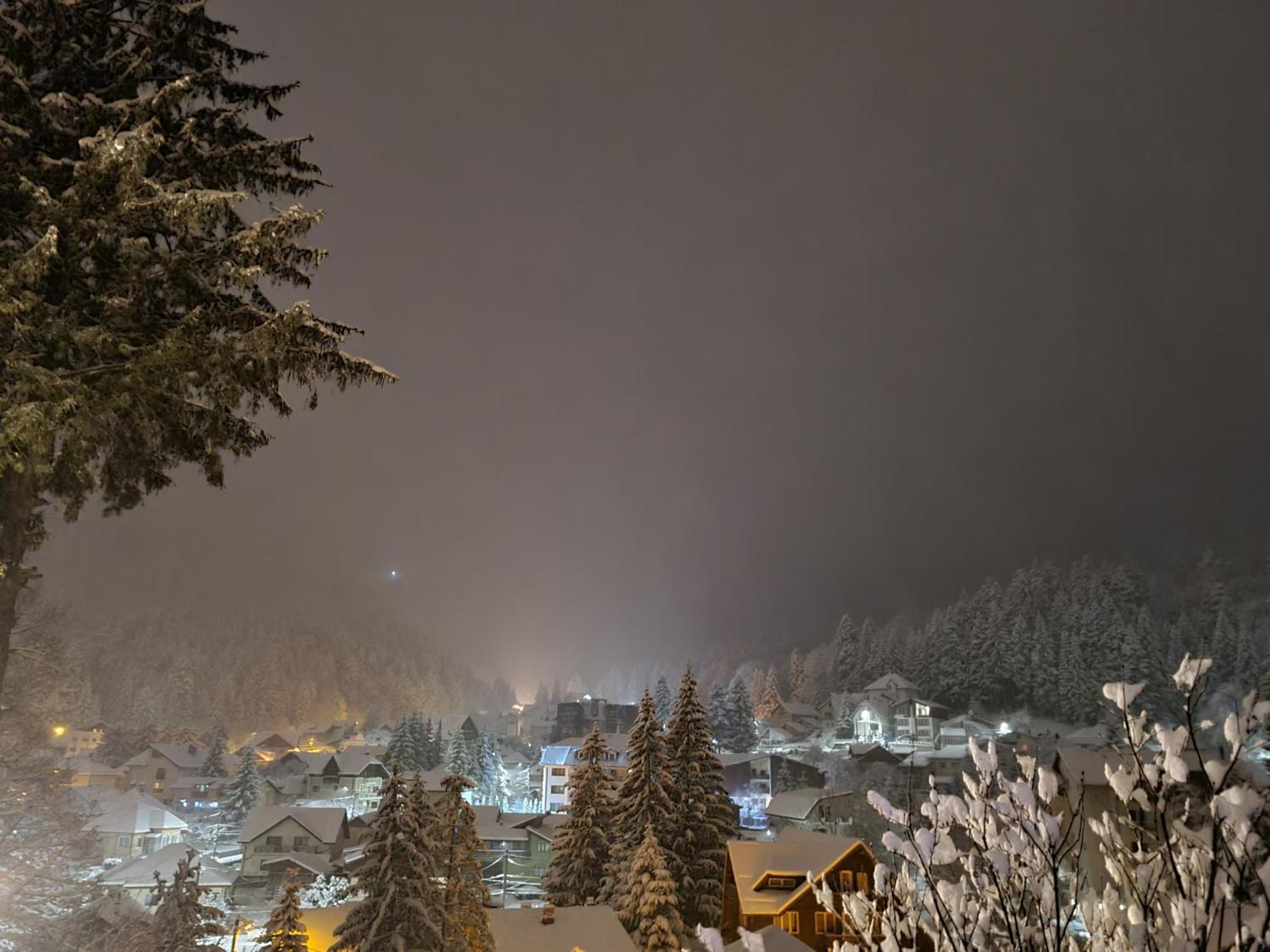 Casa Florescu Busteni Bagian luar foto